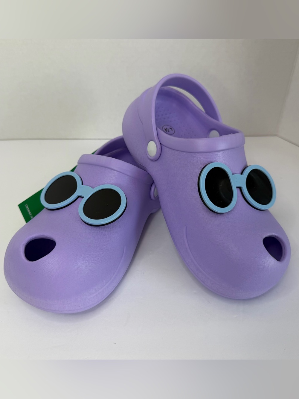 Nature’s Source Kids 4-5 Purple Clogs Interchangeable Sunglasses NWT
